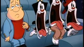 animaniacs-chairman of the bored